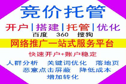 某电商平台的SEM推广策略及效果分析